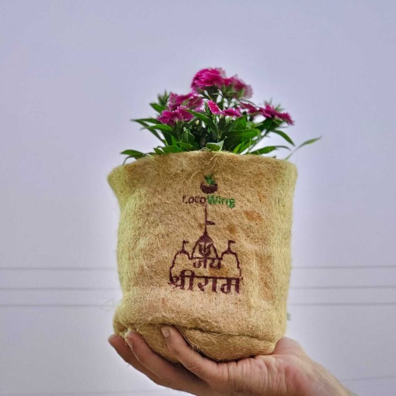 Ayodhya Ram Mandir Print Jute Grow Bag