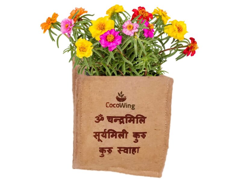 Sanskrit Words means 'Protection from Evil Eyes', Wall Mounted Jute Grow Bag