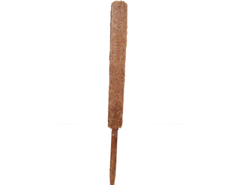 CocoWing 4ft Coir Stick for Indoor Outdoor Plant Support