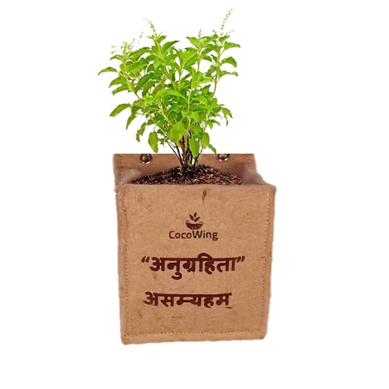 Anugrihita Asmahyam (Sanskrit) | I am Blessed | Jute Grow Bag - 6x7 Inch Wall-Mounted Vertical Garden Holder by CocoWing - Image 3