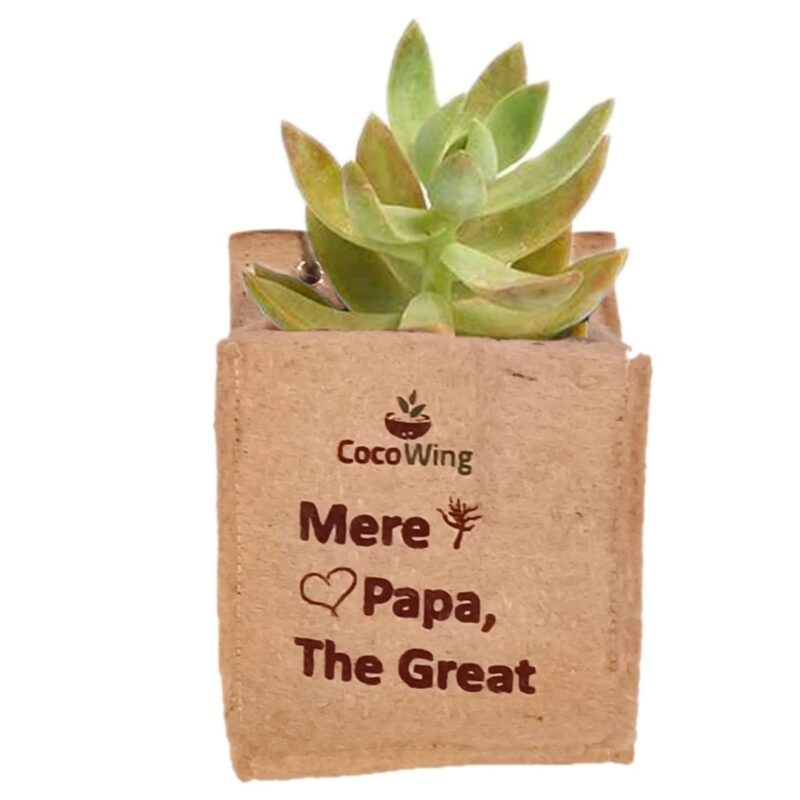 'Mere Papa The Great' Wall Mounted Jute Grow Bag - Image 2