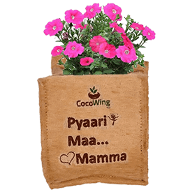 ‘Pyaari Maa…Mamma’ Wall Mounted Jute Grow Bag