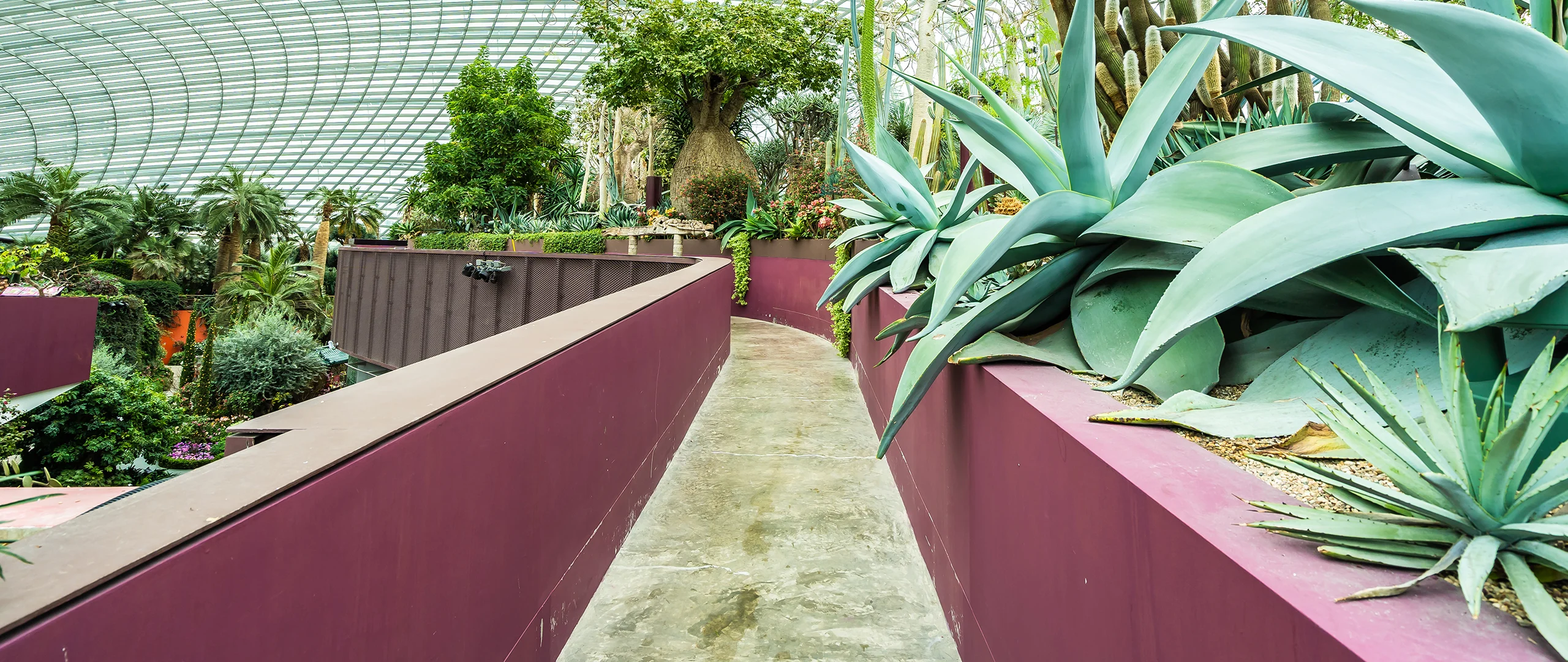 section-bg1